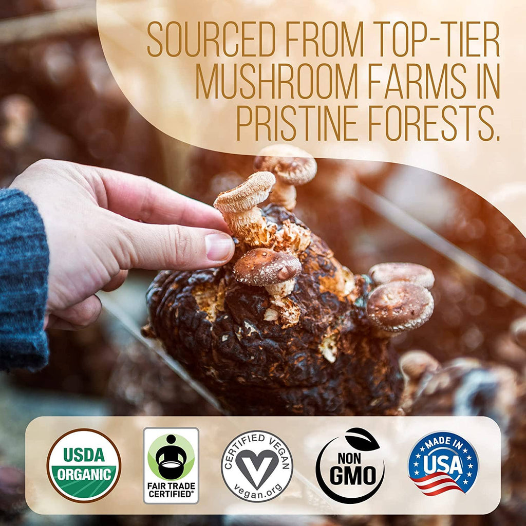 Mushroom Coffee