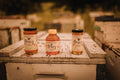 Wildflower Honey