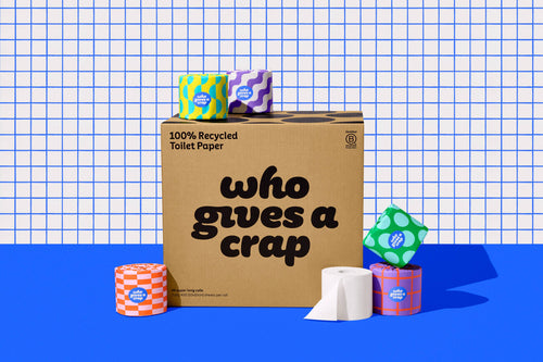 100% Recycled Toilet Paper - 48 Rolls