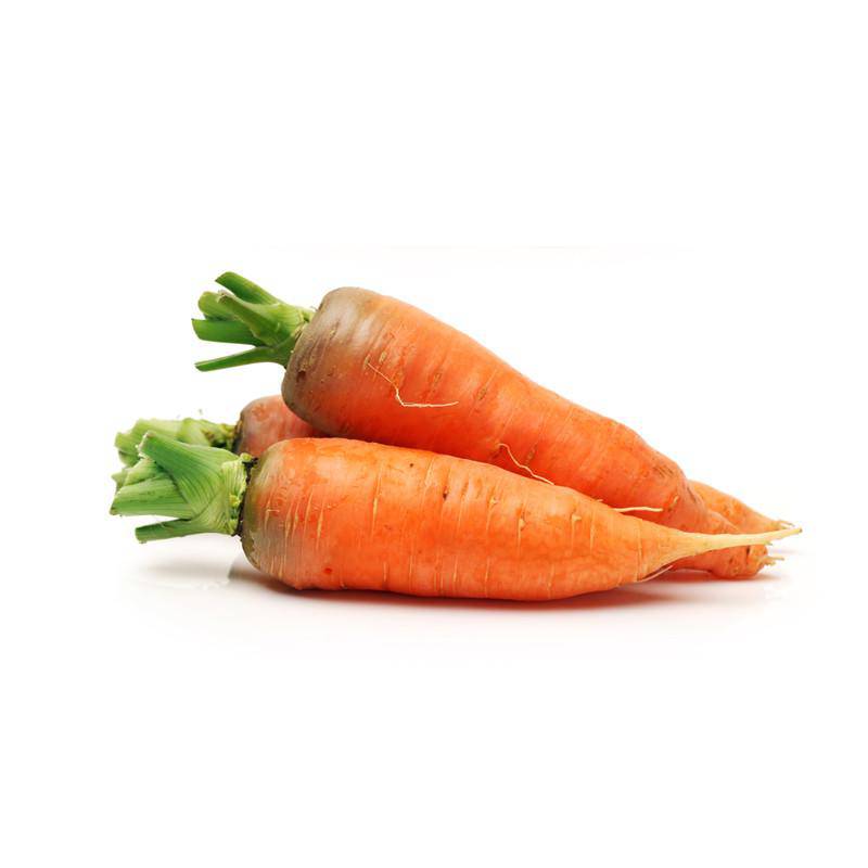 Carrot-Danvers Half Long 1870's