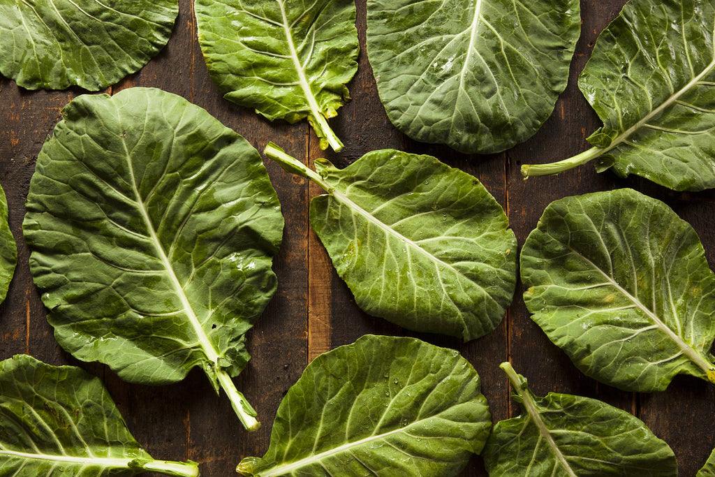 Collards-Southern Giant 1871