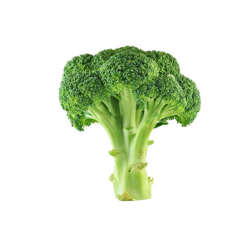 Broccoli-Green Sprouting 1800's