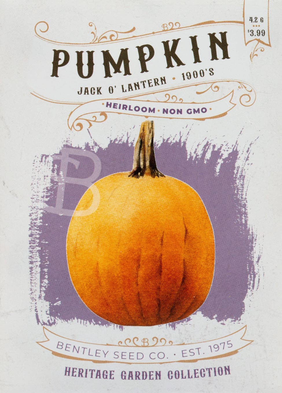 Pumpkin-Jack O' Lantern 1900's