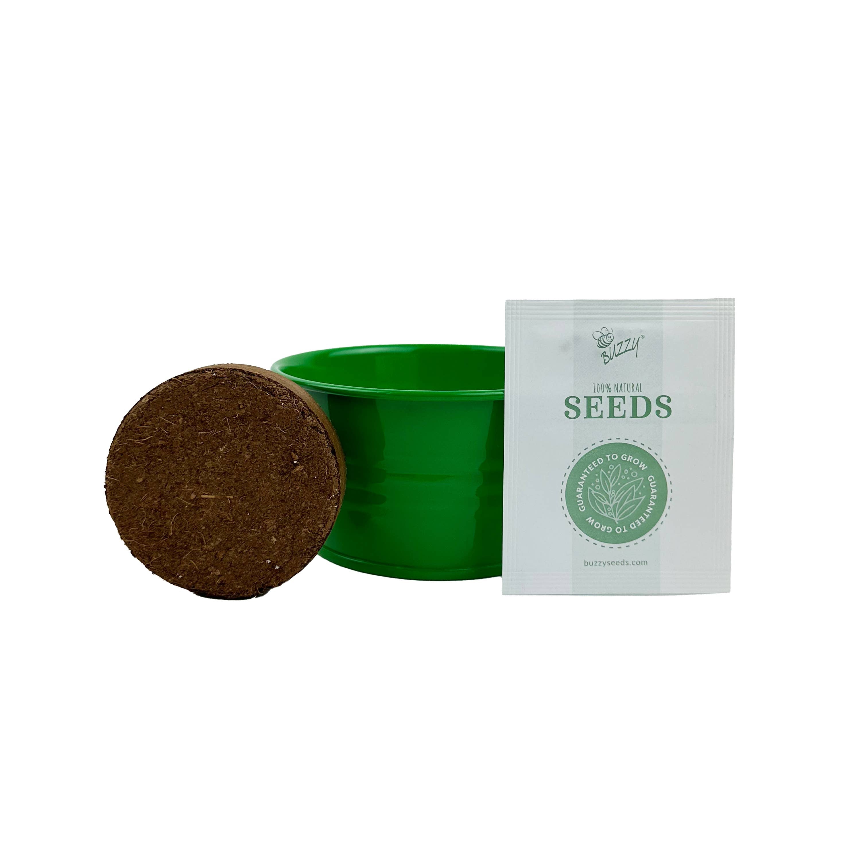 Kids Mini Basin Strawberry Grow Kit – Indoor Garden Gift