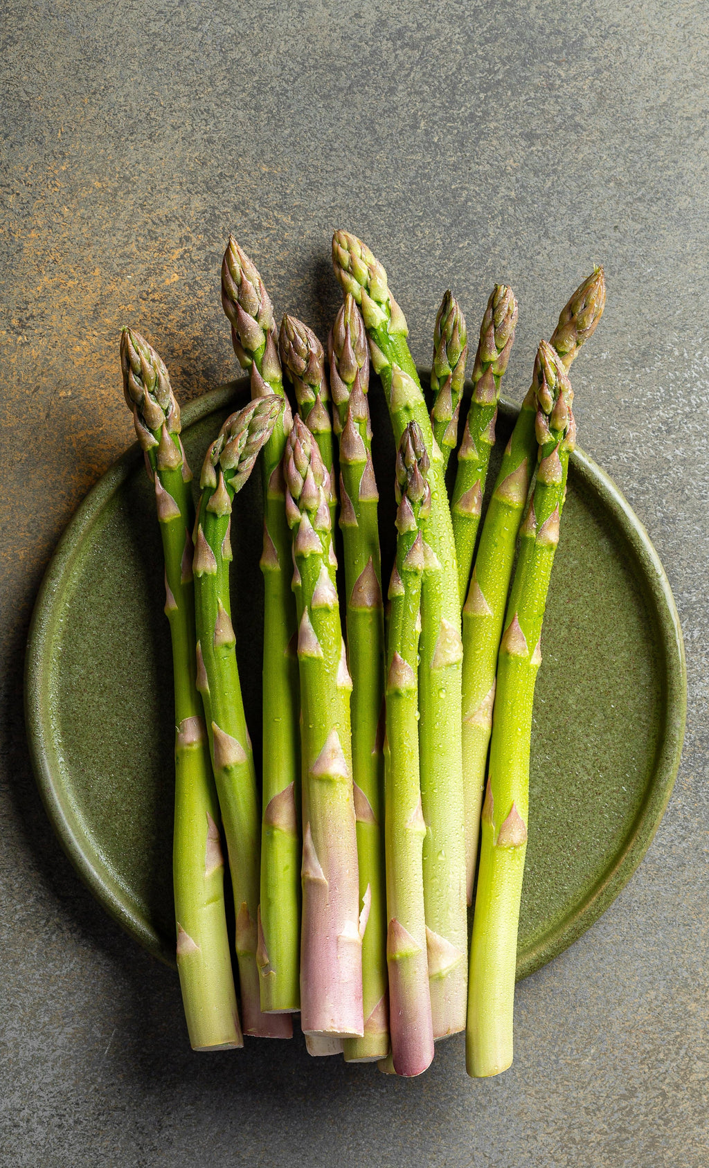 Asparagus-Mary Washington 1900