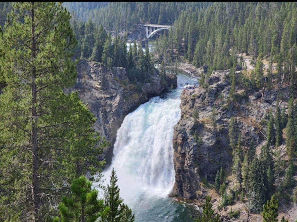 Spray Cologne For Dogs - Yellowstone - National Park Series