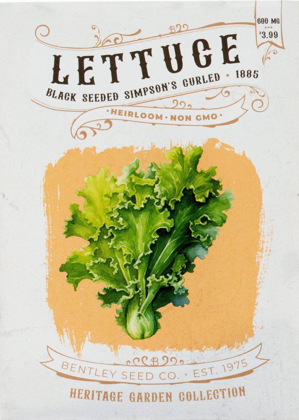 Lettuce-Black Seed Simpsons Curled 1885