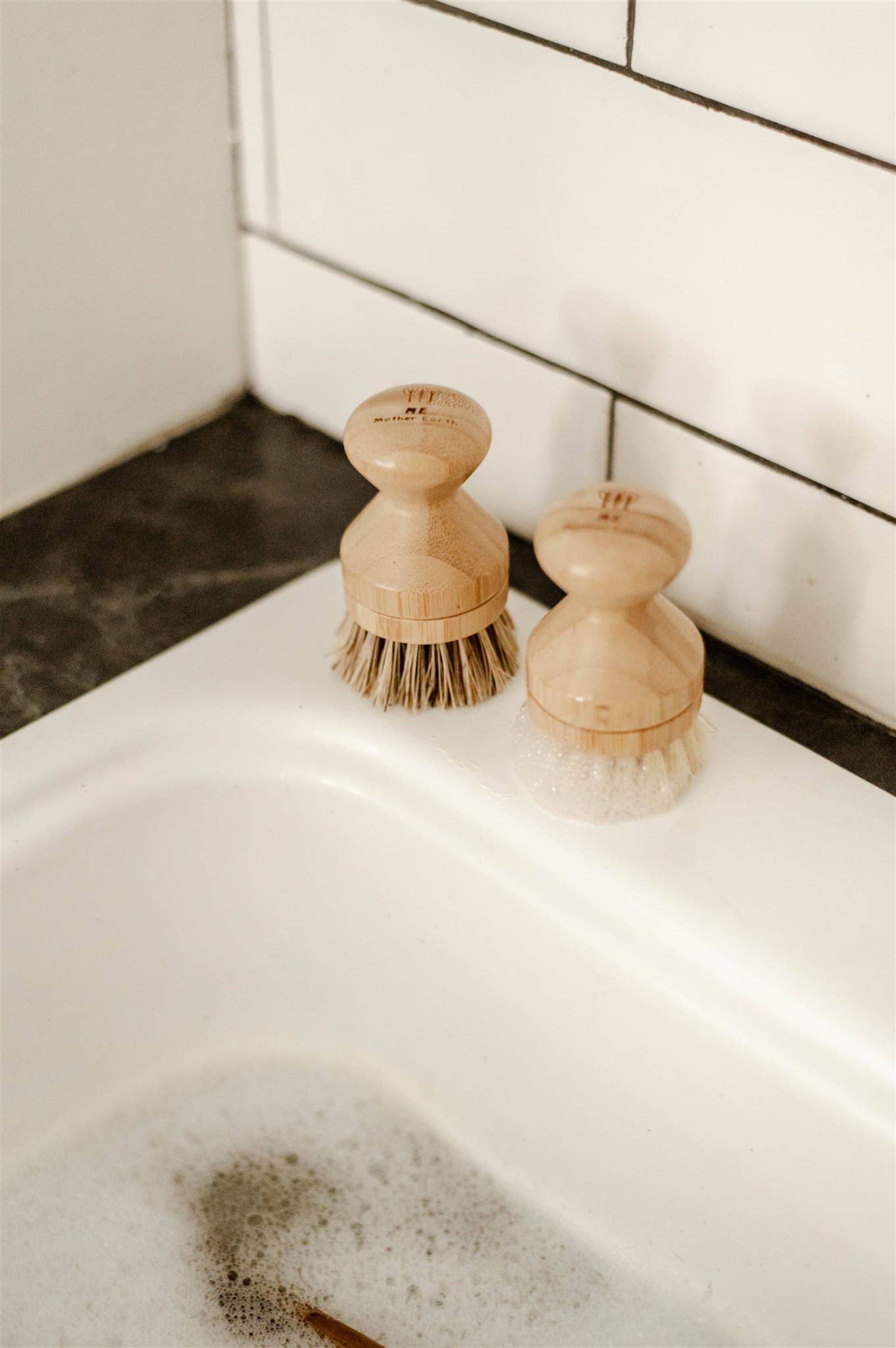 Scrubbing Brush