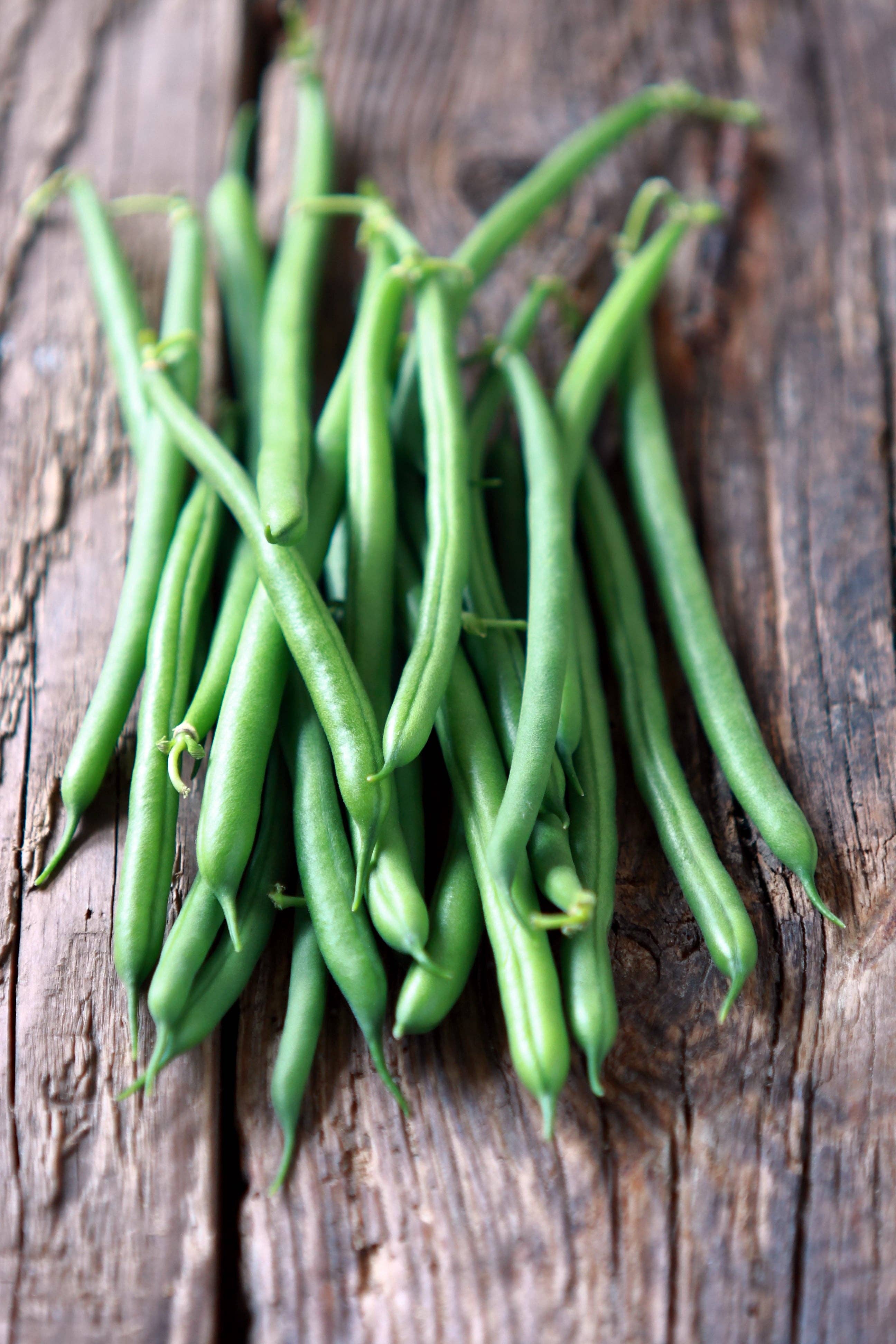 Beans-Provider Bush 1965