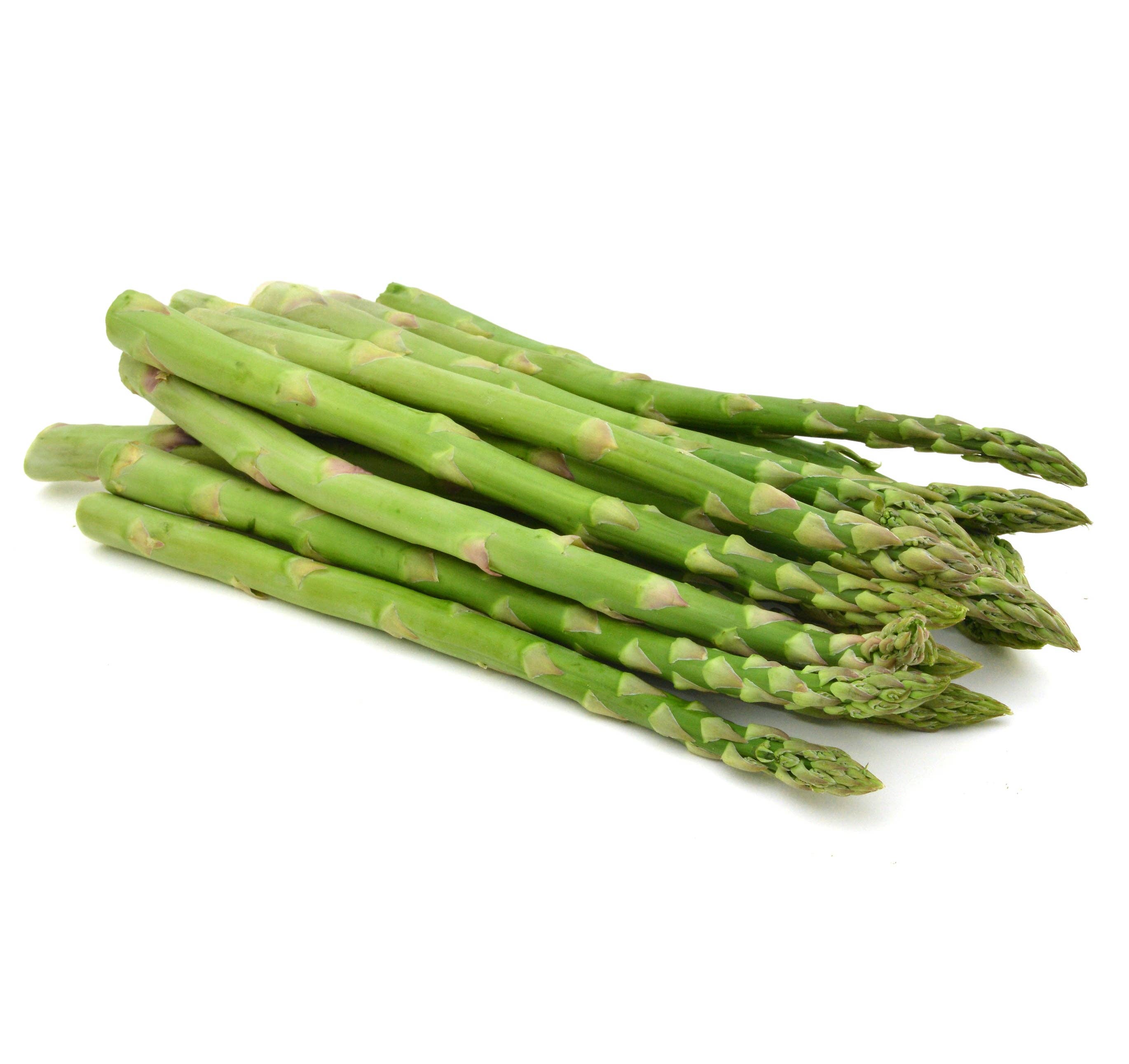 Asparagus-Mary Washington 1900