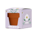 Mini Grow Pot Daisy Kit – Indoor Wildflower Gift