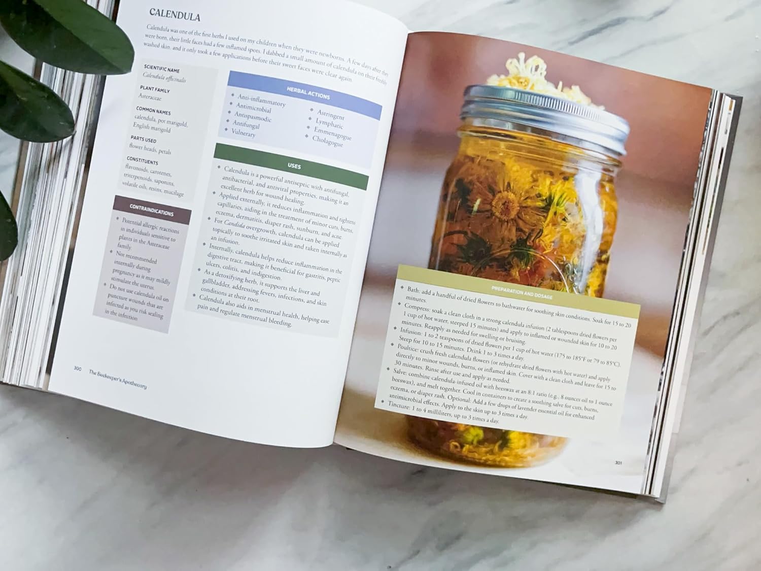 Beekeepers Apothecary Cookbook