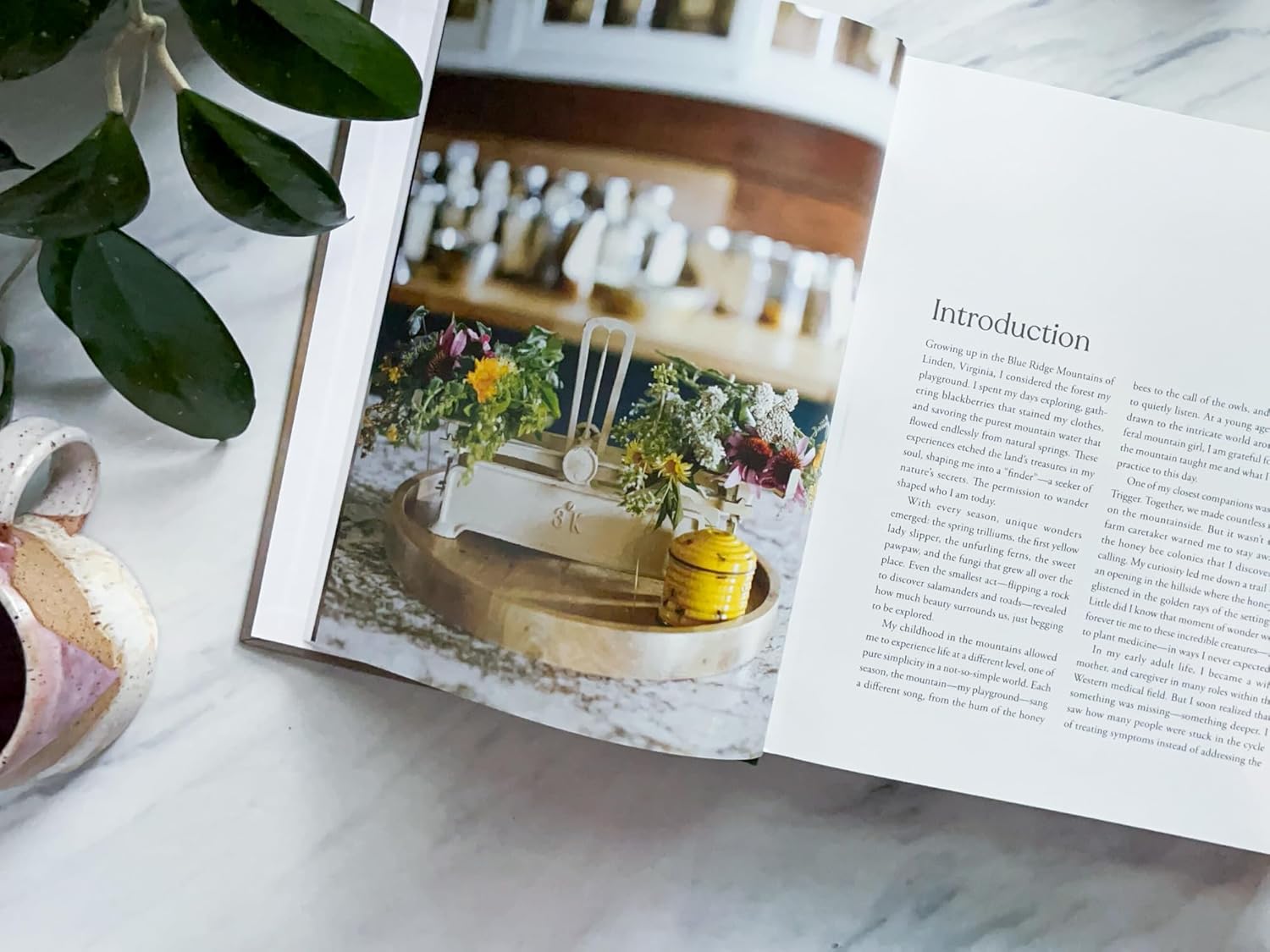 Beekeepers Apothecary Cookbook