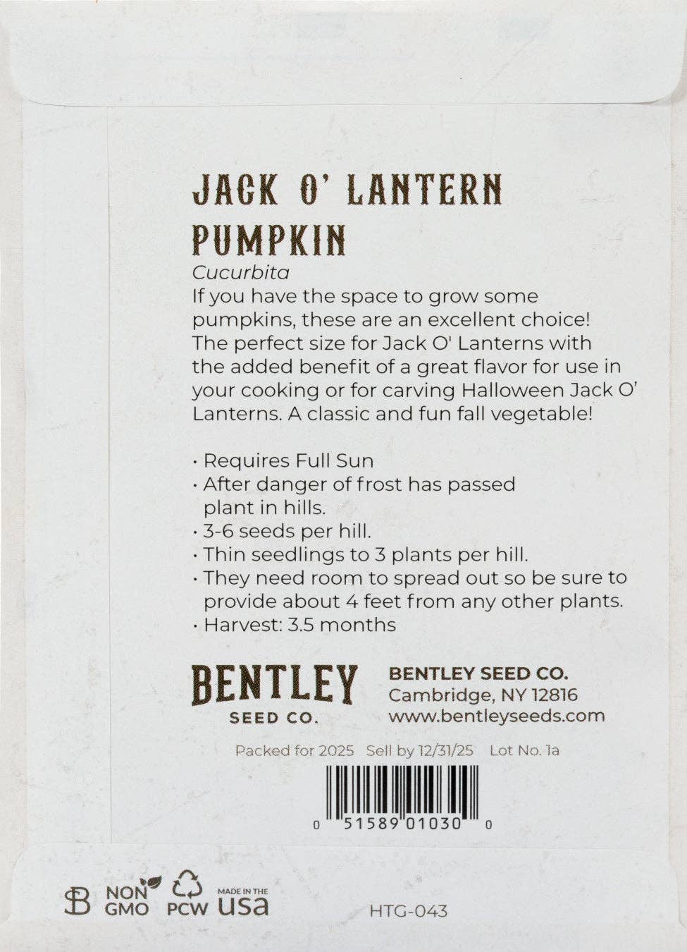 Pumpkin-Jack O' Lantern 1900's
