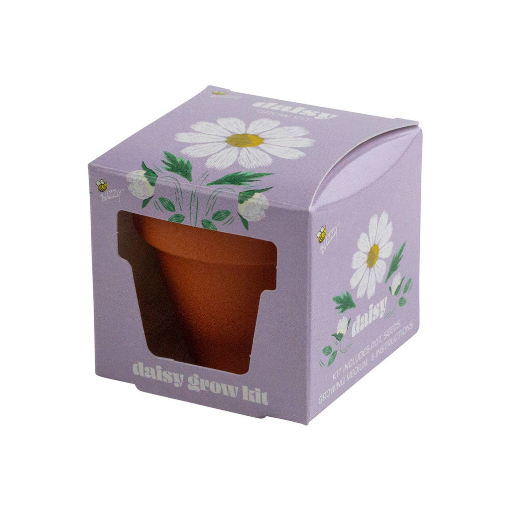 Mini Grow Pot Daisy Kit – Indoor Wildflower Gift