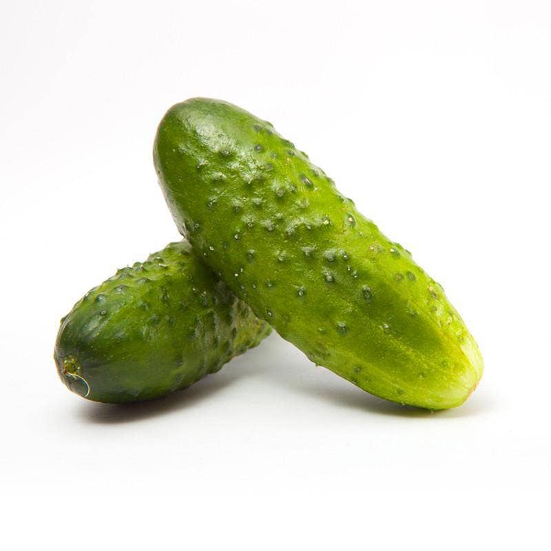 Cucumber-Boston Pickling 1887