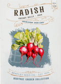 Radish-Cherry Belle 1884