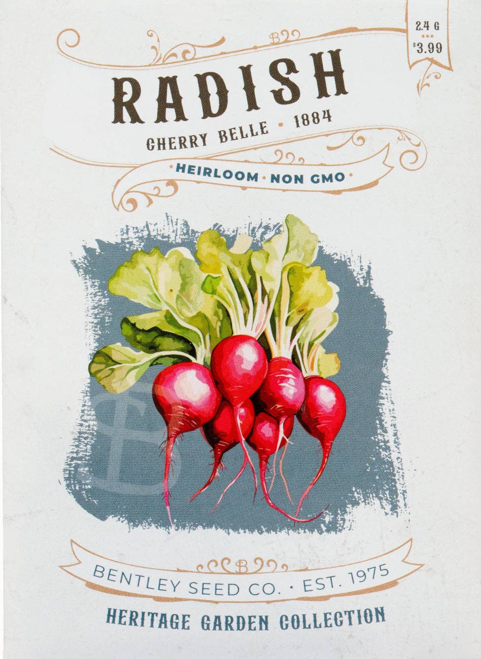 Radish-Cherry Belle 1884