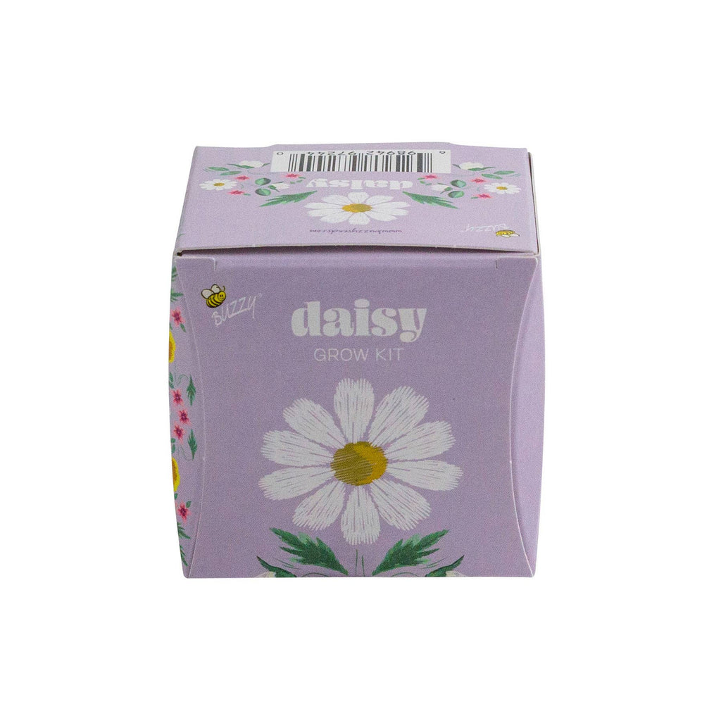 Mini Grow Pot Daisy Kit – Indoor Wildflower Gift