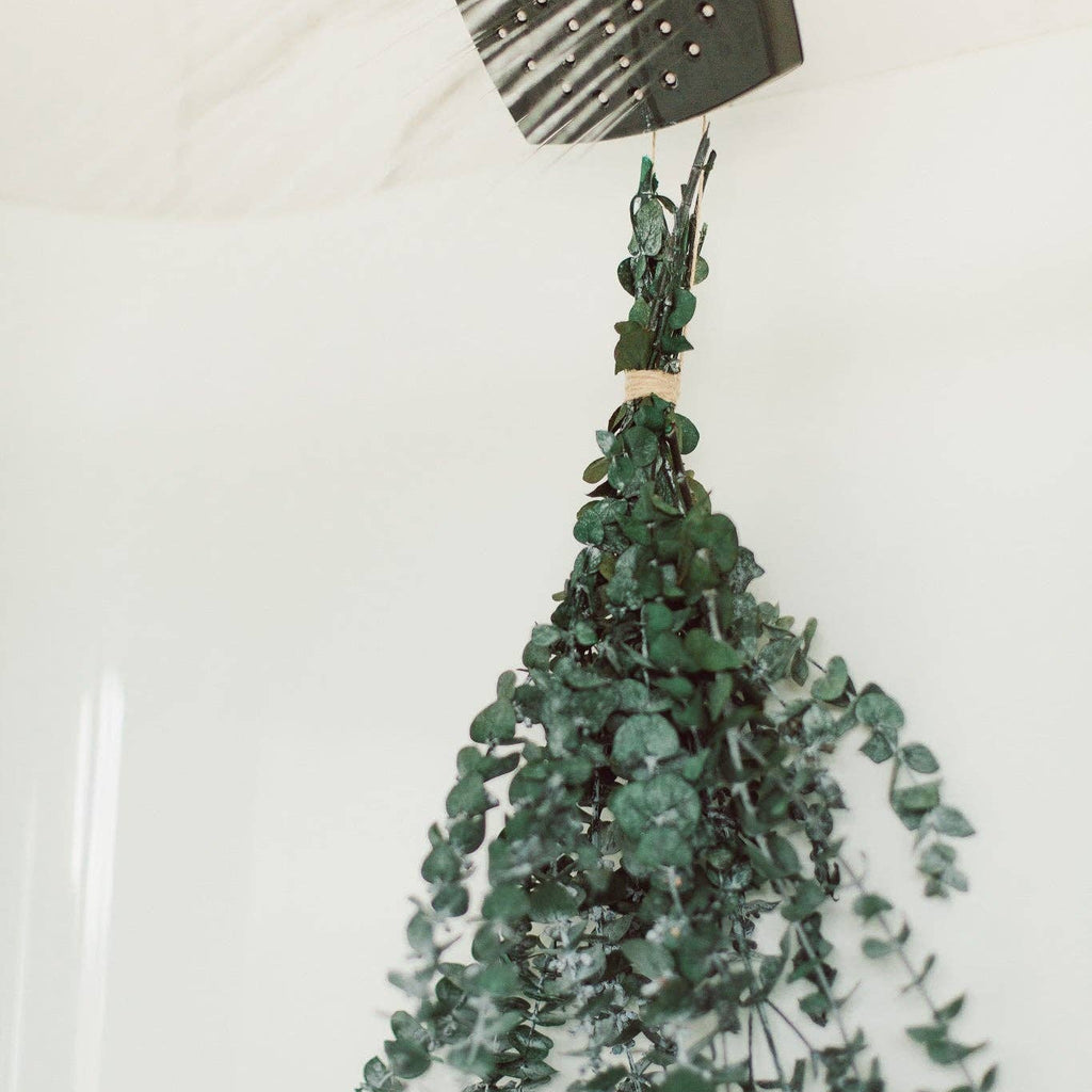 Fresh Eucalyptus Shower Bundle