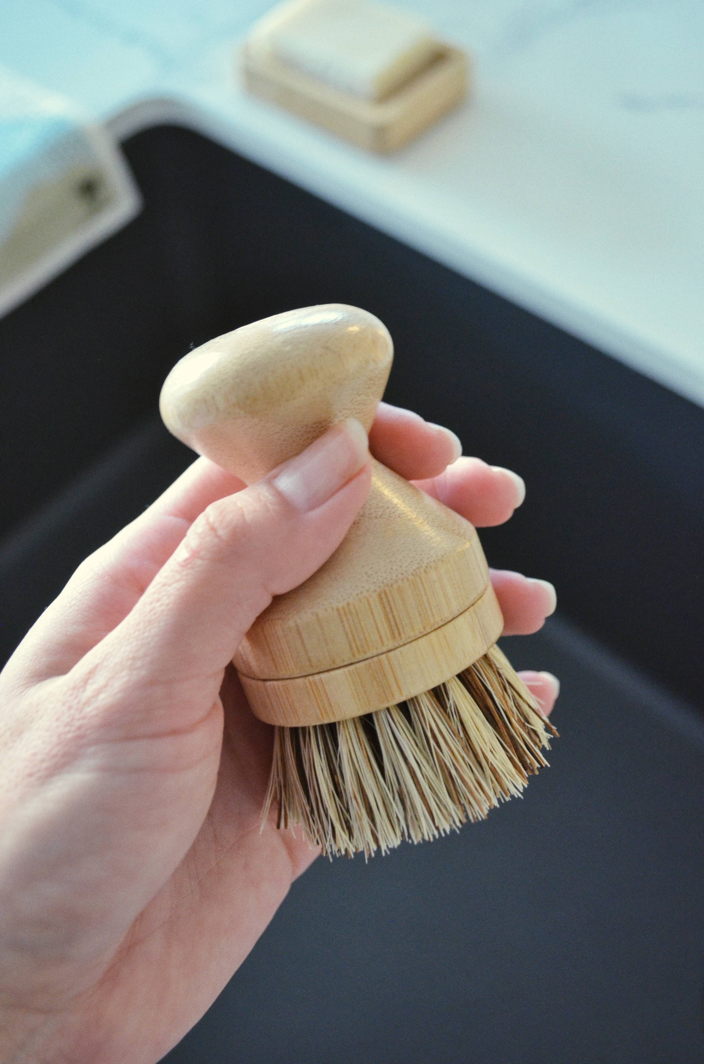 Scrubbing Brush