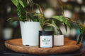 Rooted AF Pitty Party- Armpit Detox Mask