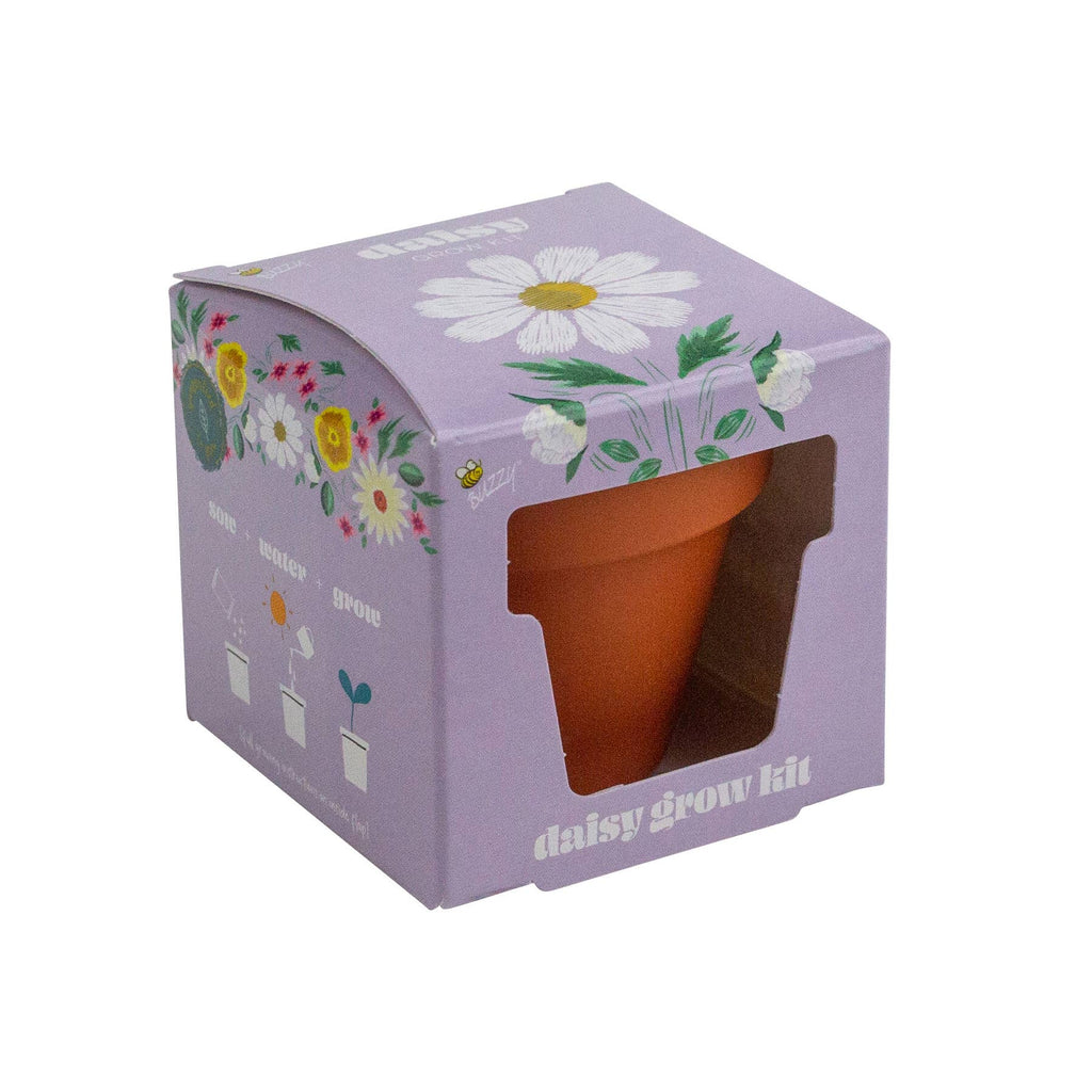 Mini Grow Pot Daisy Kit – Indoor Wildflower Gift