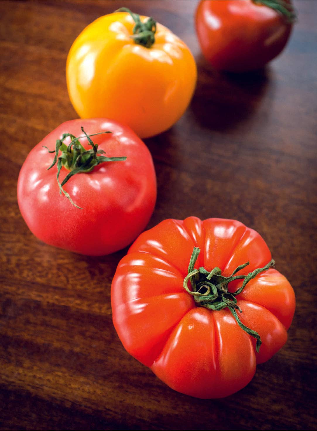 Tomato-Brandywine 1885