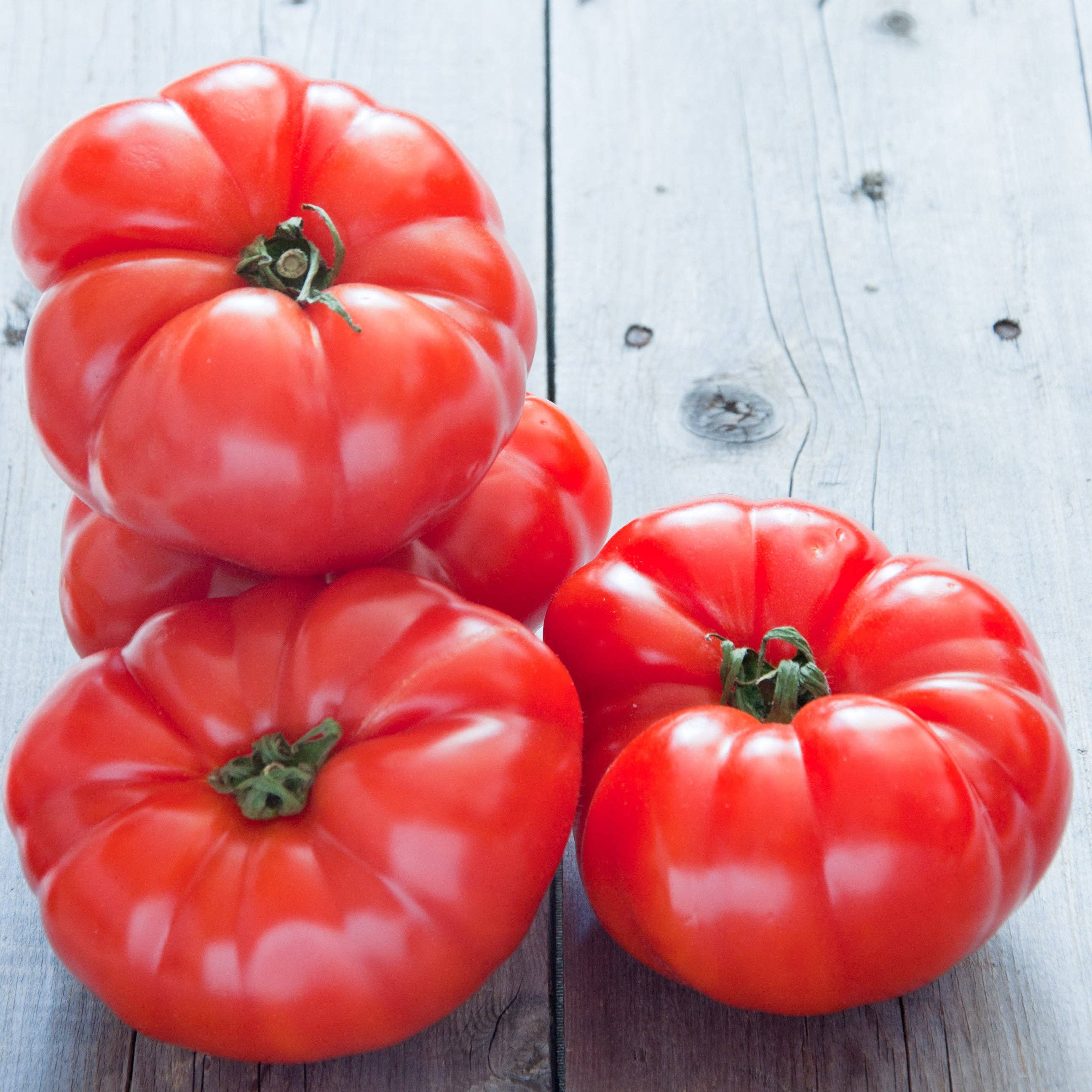 Tomato-Beefsteak 1885