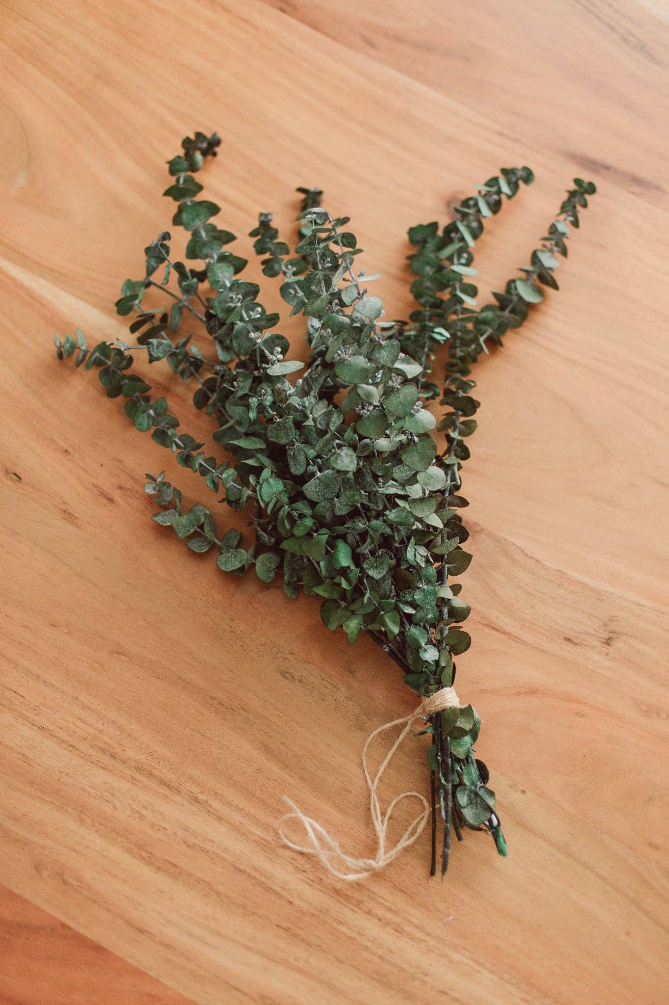 Fresh Eucalyptus Shower Bundle