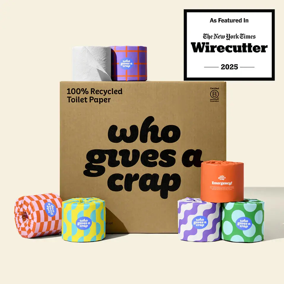 100% Recycled Toilet Paper - 48 Rolls