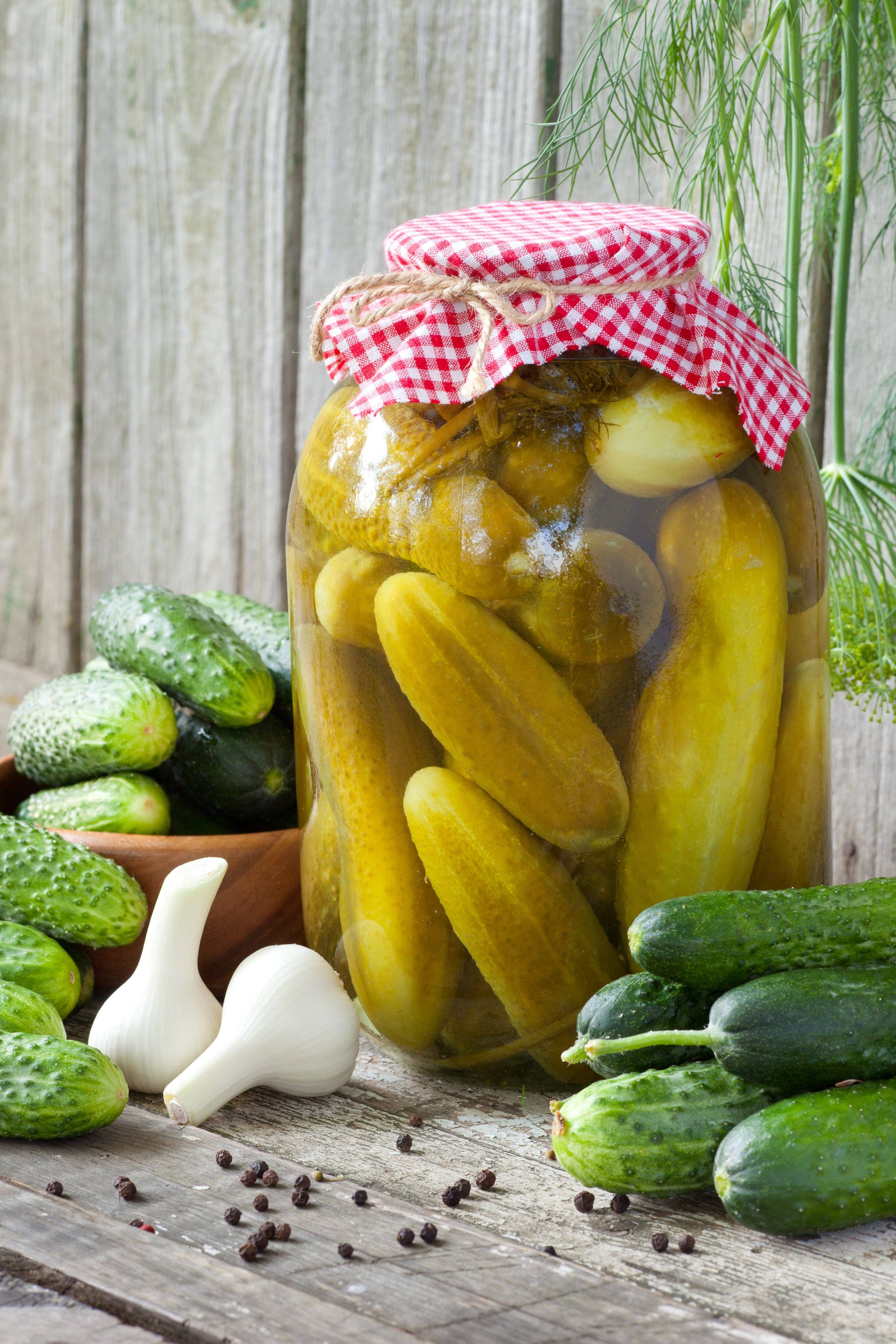 Cucumber-Boston Pickling 1887