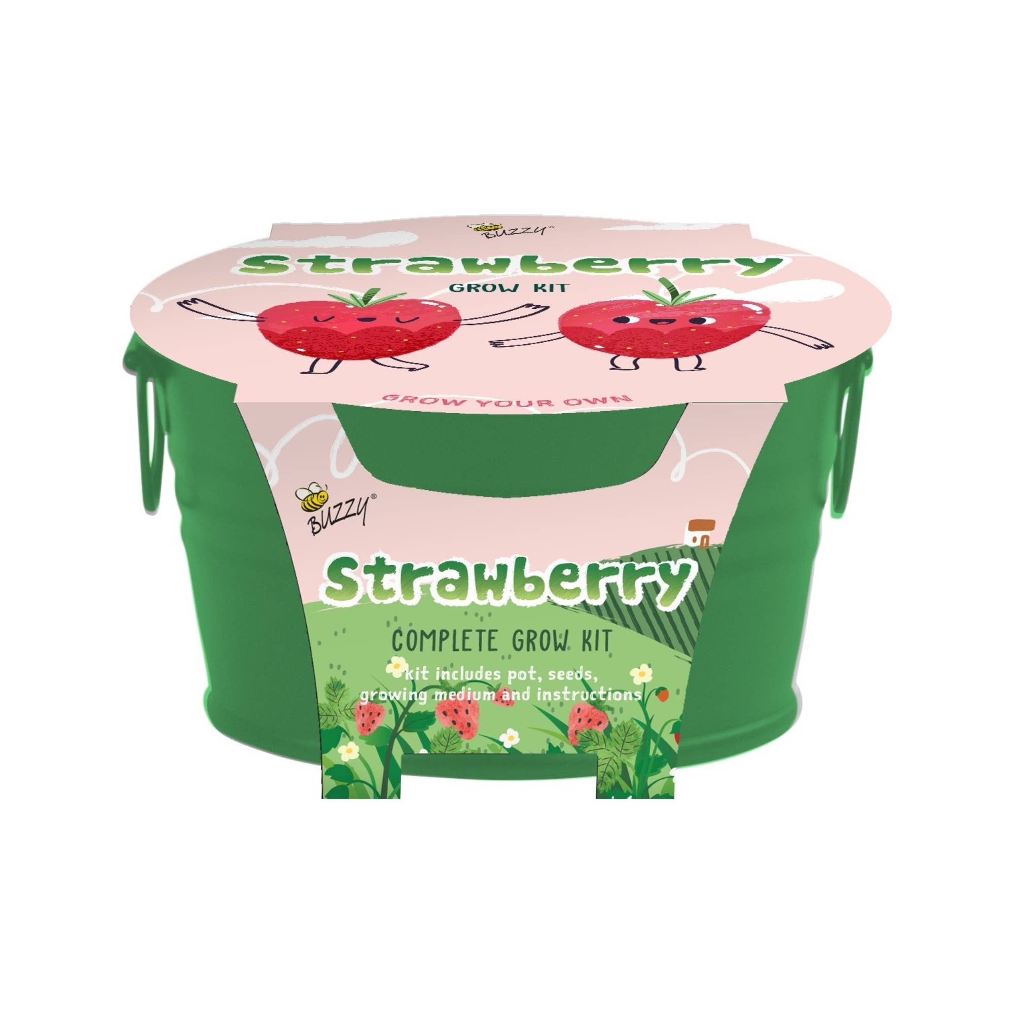 Kids Mini Basin Strawberry Grow Kit – Indoor Garden Gift