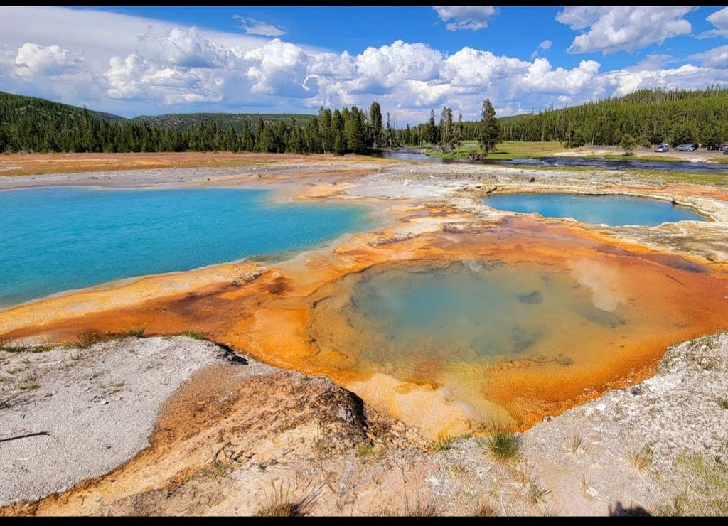 Spray Cologne For Dogs - Yellowstone - National Park Series