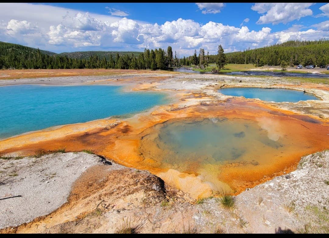 Spray Cologne For Dogs - Yellowstone - National Park Series