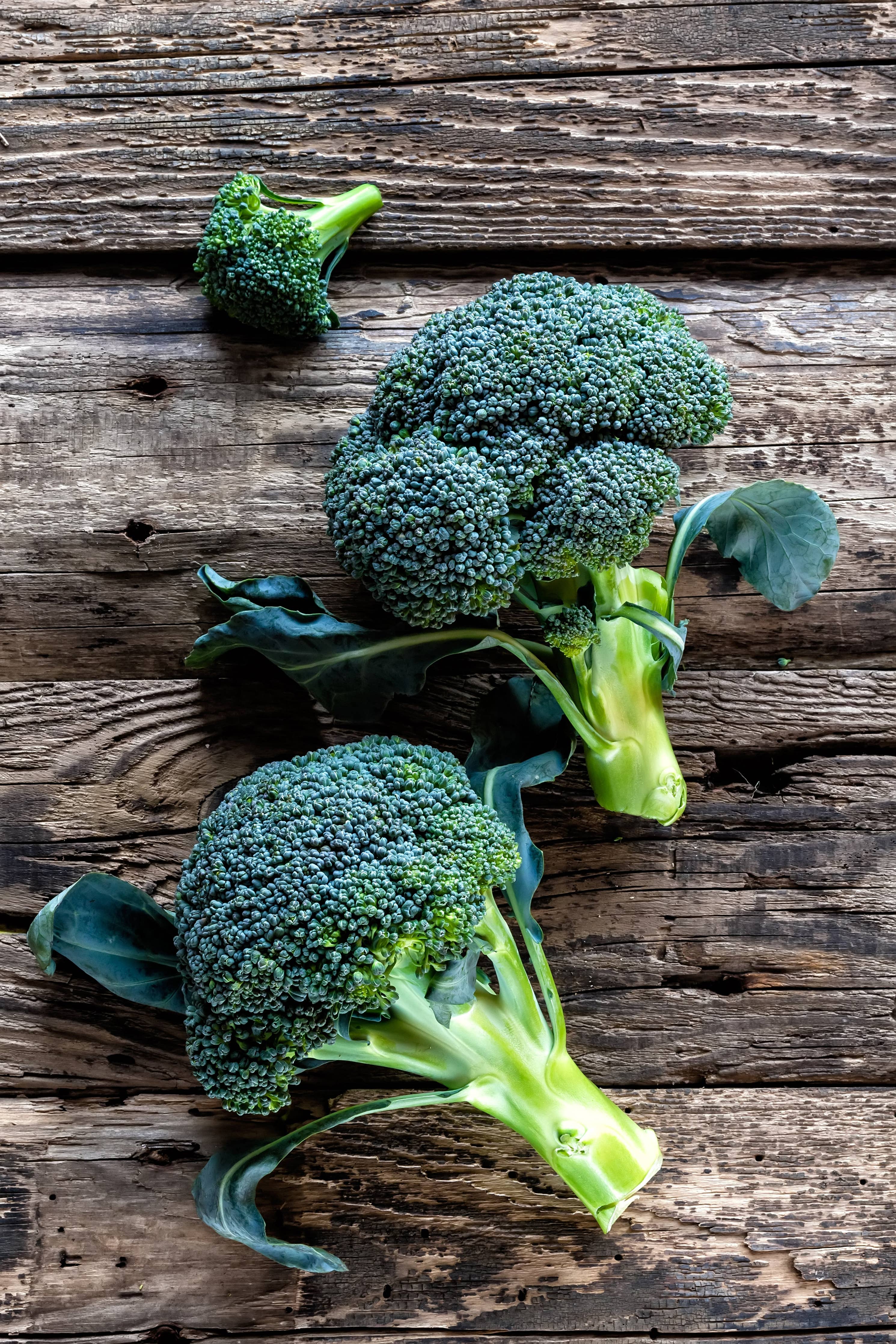 Broccoli-Green Sprouting 1800's